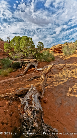 Arches National Park Sunset